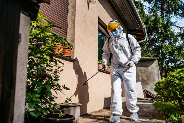 Best Mosquito Control Services  in Pine Knot, KY