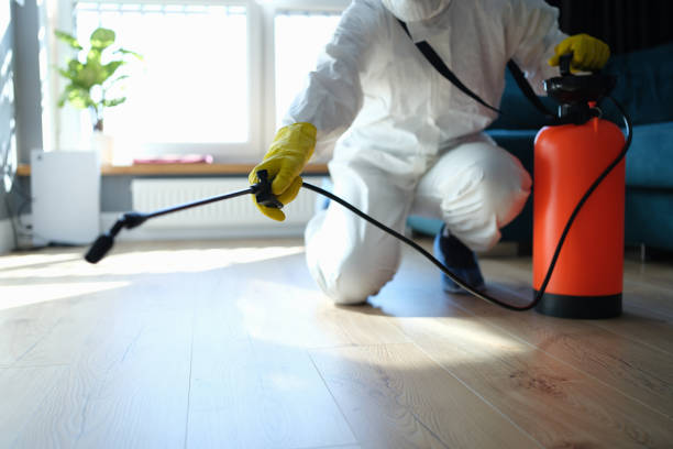 Best Pest Removal Services  in Pine Knot, KY