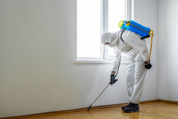 Best Pest Prevention Services  in Pine Knot, KY