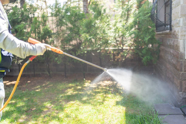 Best Pest Inspection Near Me  in Pine Knot, KY