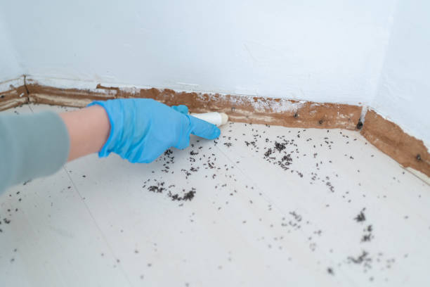 Best Wildlife Control Services  in Pine Knot, KY
